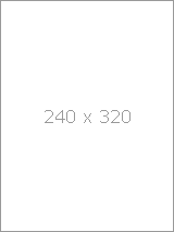 240x320